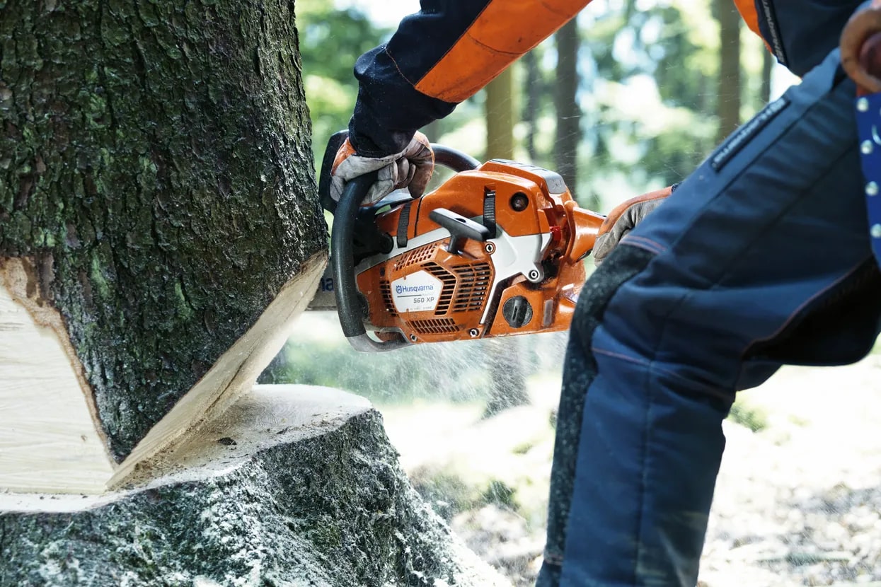 Husqvarna 562 XP® - 18
