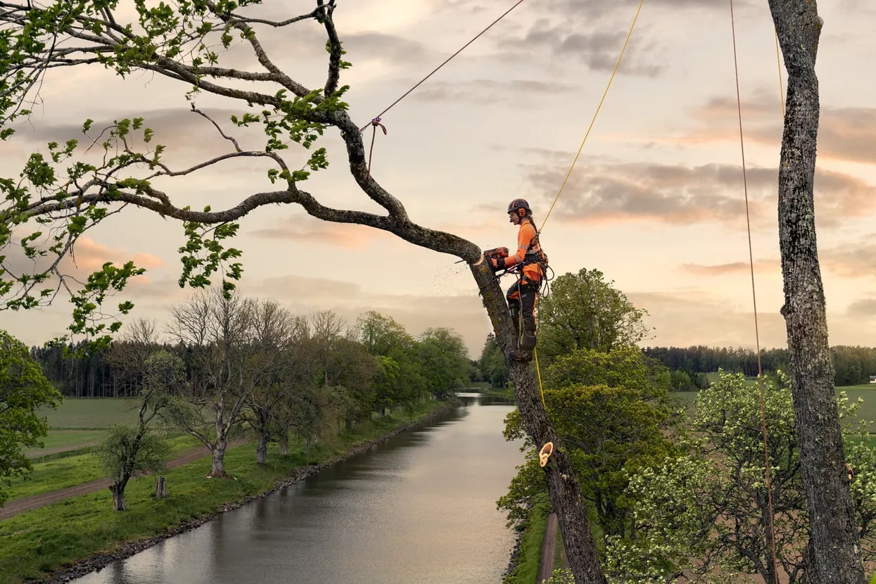 Husqvarna T540 XP® Mark III 16″ Chainsaw (970510016)