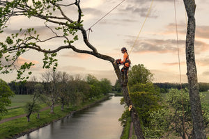 Husqvarna T540 XP® Mark III 16″ Chainsaw (970510016)