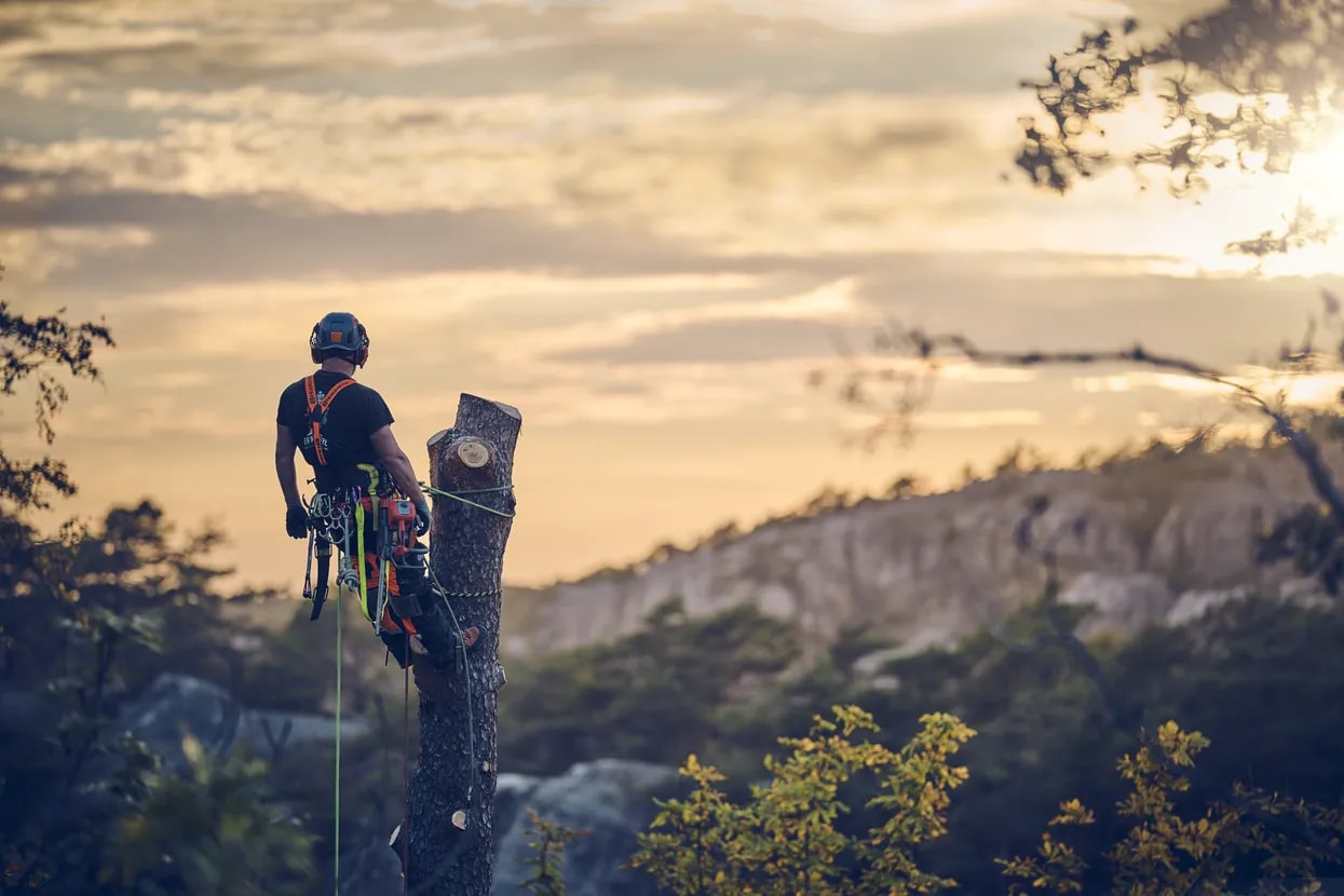 Husqvarna T540 XP® Mark III 16″ Chainsaw (970510016)